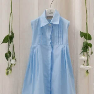 Light Blue Pleated Chemisier